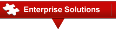 Biometric Enterprise Solutions