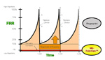 Palm BiometricsGraph
