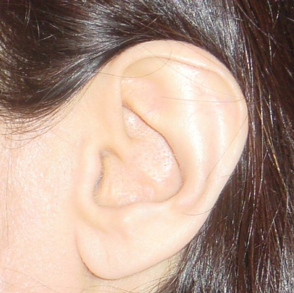 Why Ears Are The Future Of Biometrics M Sys Blog On Biometric Technology