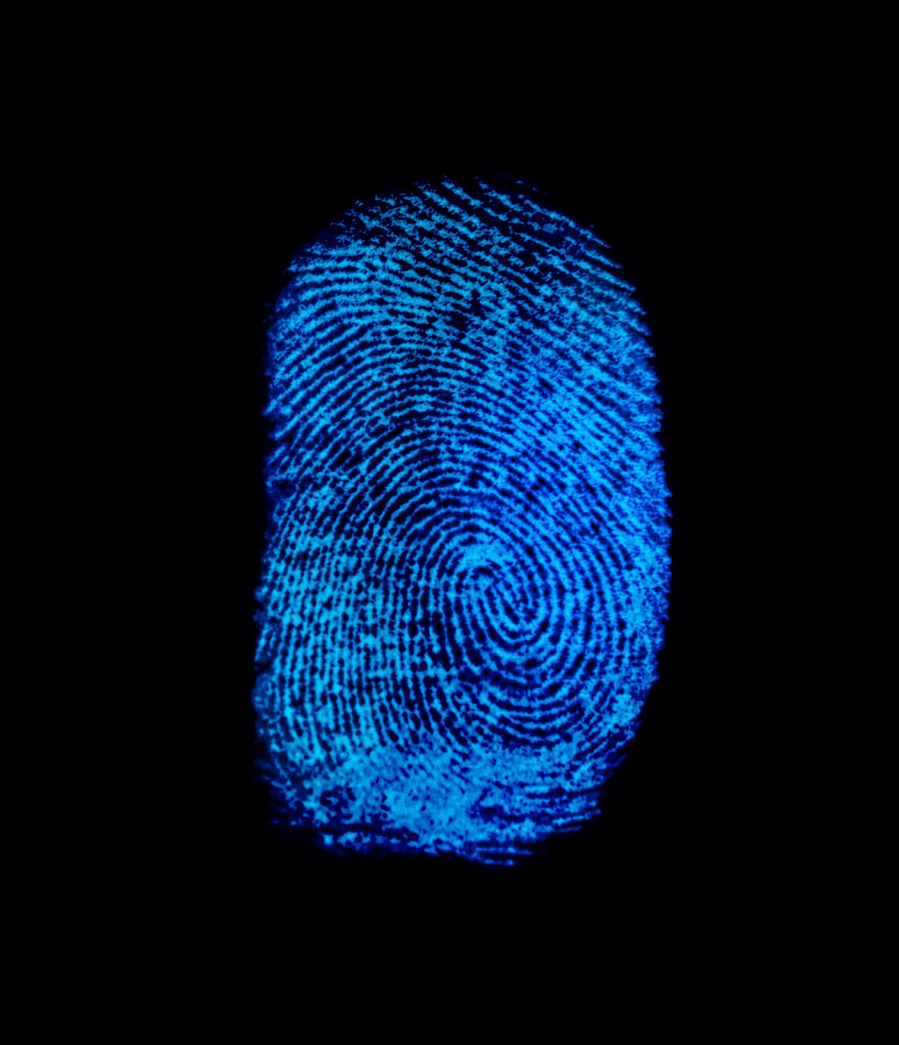 Blue Fingerprint Identification Symbol Isolated On Black Background In ...