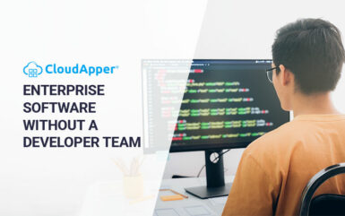 Is it possible to create an enterprise software without a developer team?