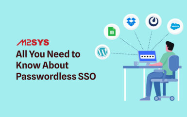 All You Need to Know About Passwordless SSO
