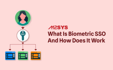 What is Biometric SSO and how does it work?