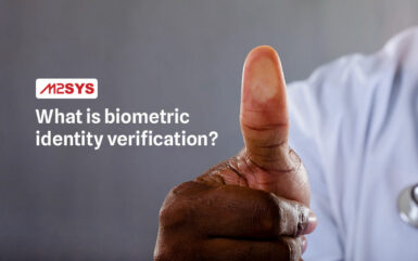 What is a biometric identity verification system?
