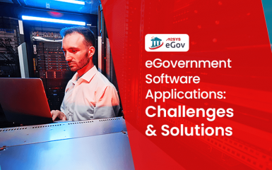 eGovernment Software Applications: The Challenges and Solutions