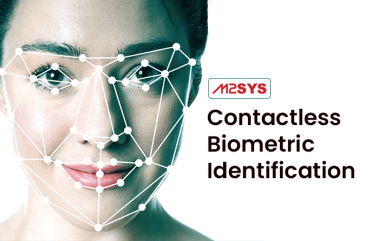 What Do We Know About Contactless Biometric Identification?