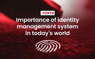 Why is an identity management system so important in today’s world?