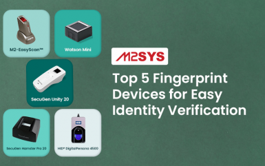 Top 5 Fingerprint Devices for Easy Identity Verification
